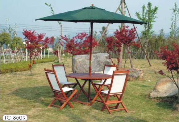 �D��TC-8509���b �c(di��n)���ɷŴ�