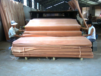 �D�����܇�gһ�� �c(di��n)���ɷŴ�