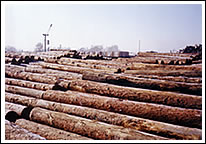 �D��ľ����ľ��Ʒ�ӹ����N�� �c���ɷŴ�