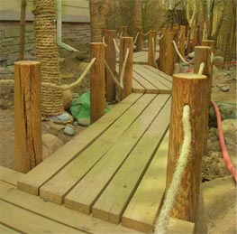 �D��С�� �c���ɷŴ�