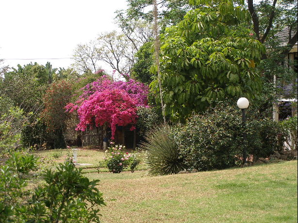 �D��ס�һ��@ �c(di��n)���ɷŴ�