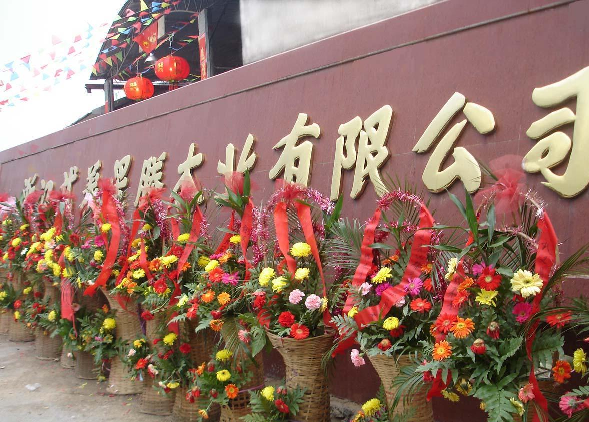 �D����˾���� �c(di��n)���ɷŴ�