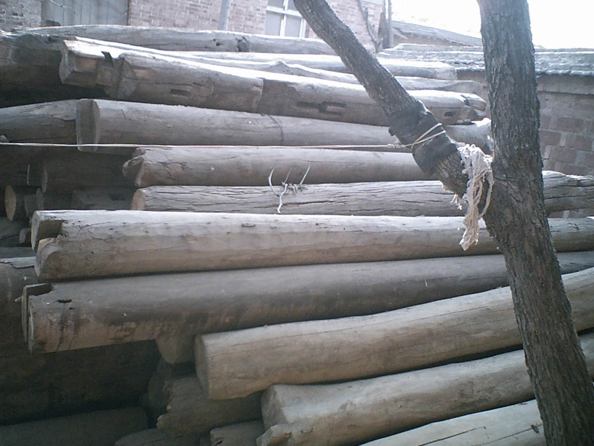 �D������ľ �c(di��n)���ɷŴ�