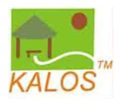 �D���̘�(bi��o) �c���ɷŴ�