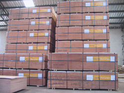 �D���ʂ��؛ �c���ɷŴ�