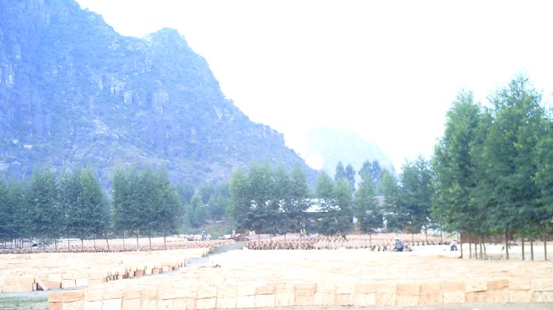 �D���F���������^(q��)��_(d��)�а�S �c(di��n)���ɷŴ�