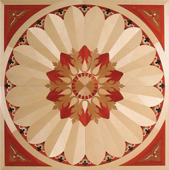 �D��ˇ�g(sh��)ƴ���ذ� �c���ɷŴ�