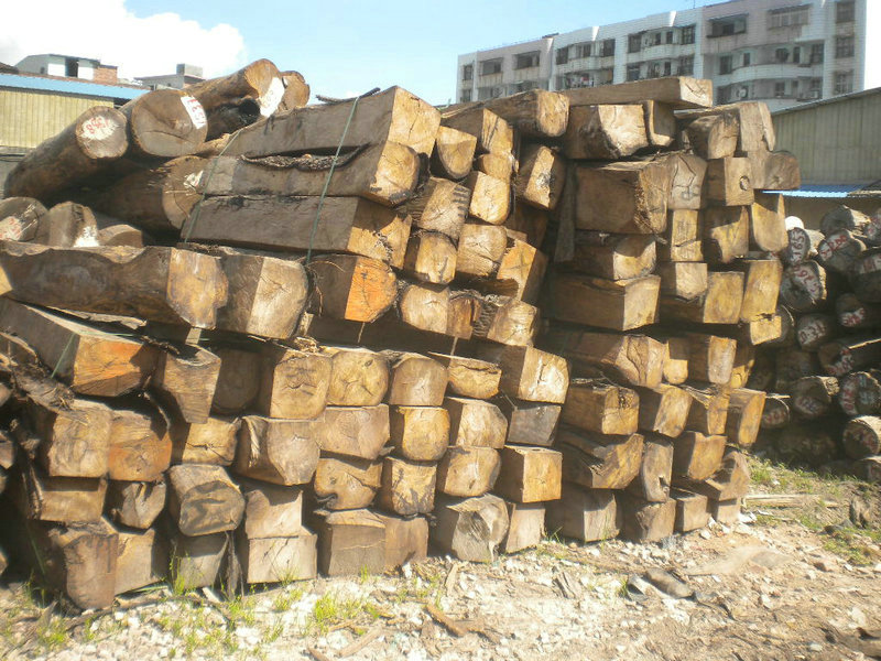 �D�������� �c(di��n)���ɷŴ�