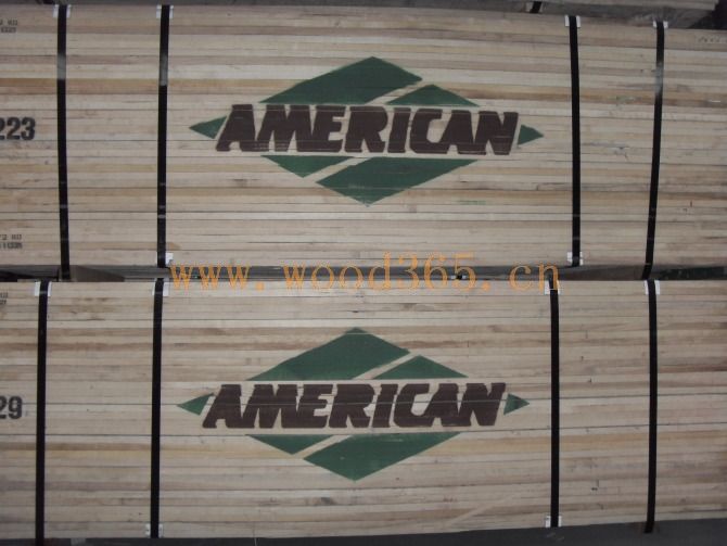 �D��AMERICN �c���ɷŴ�