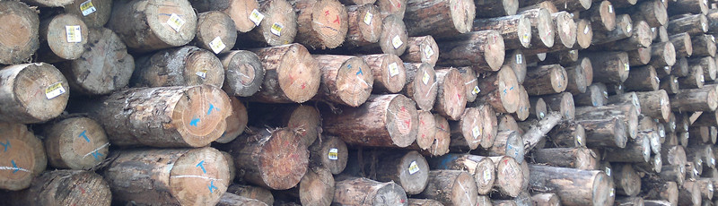 �D��ԭľ �c(di��n)���ɷŴ�