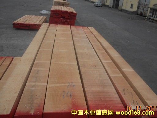 �D�����2 �c(di��n)���ɷŴ�