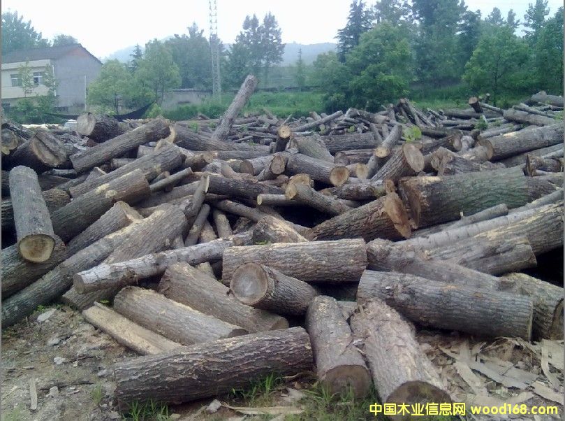 �D�����،��� �c���ɷŴ�