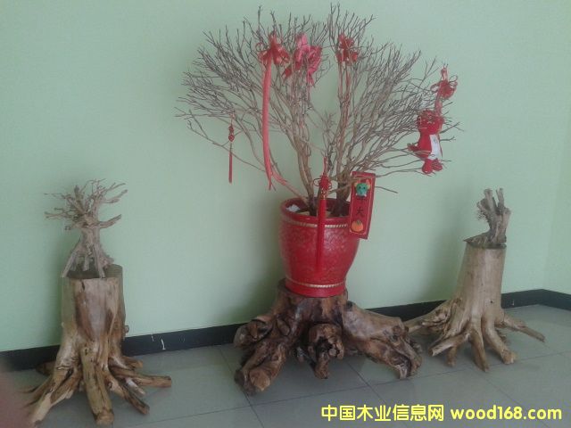 �D����˾һ̎��(n��i)�� �c���ɷŴ�