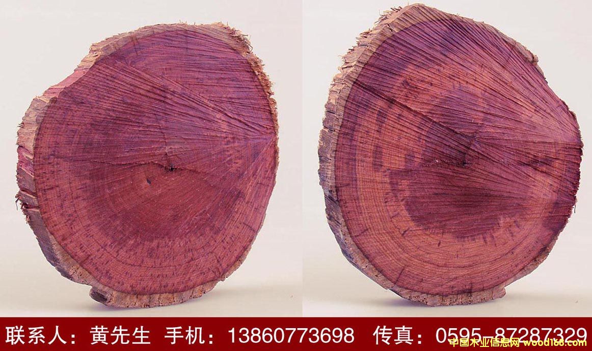 �D����֦ľ �c(di��n)���ɷŴ�