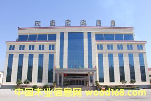 �D����� �c(di��n)���ɷŴ�