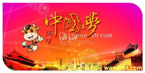 �D����ţ3 �c���ɷŴ�