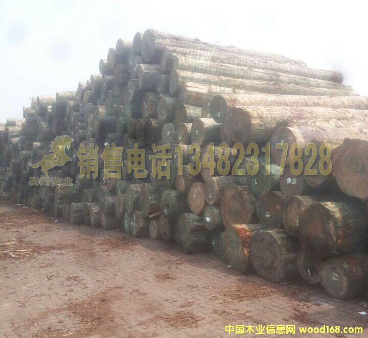 �D��ԭľ�ш� �c(di��n)���ɷŴ�