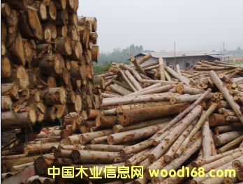 �D������������ľ����ľ �c���ɷŴ�