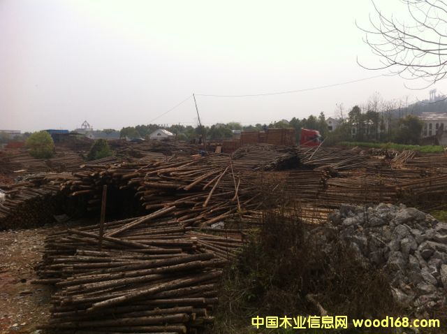 �D��ɼԭľ�b܇ �c���ɷŴ�