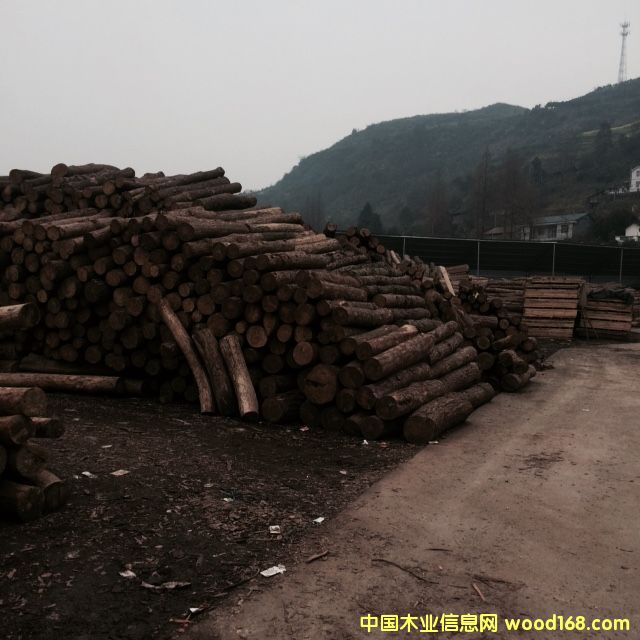 �D������ԭ�����A(y��)�[ �c(di��n)���ɷŴ�