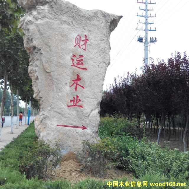 �D��ؔ(c��i)�\(y��n)ľ�I(y��) �c(di��n)���ɷŴ�