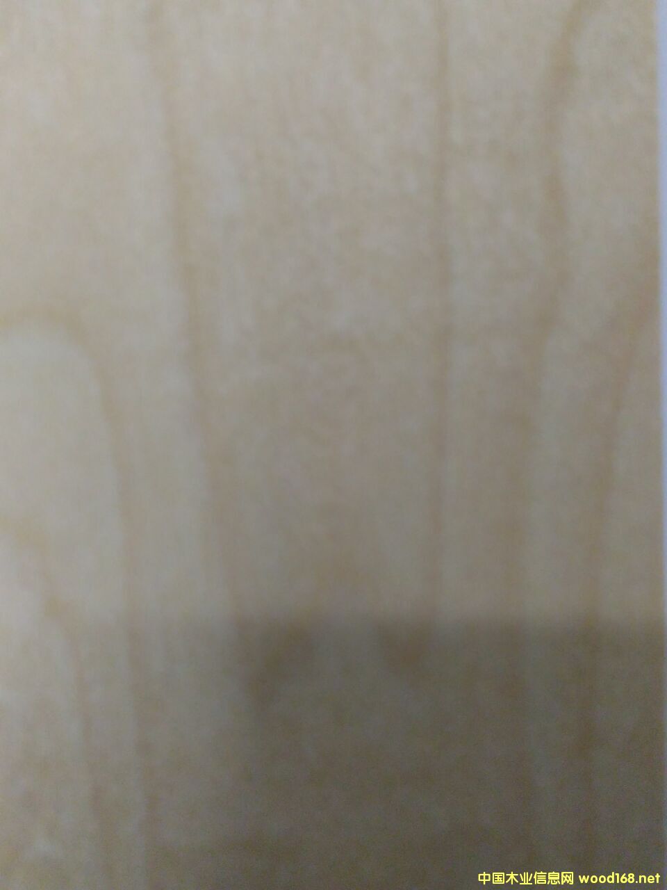 �D���Z���ľ �c���ɷŴ�