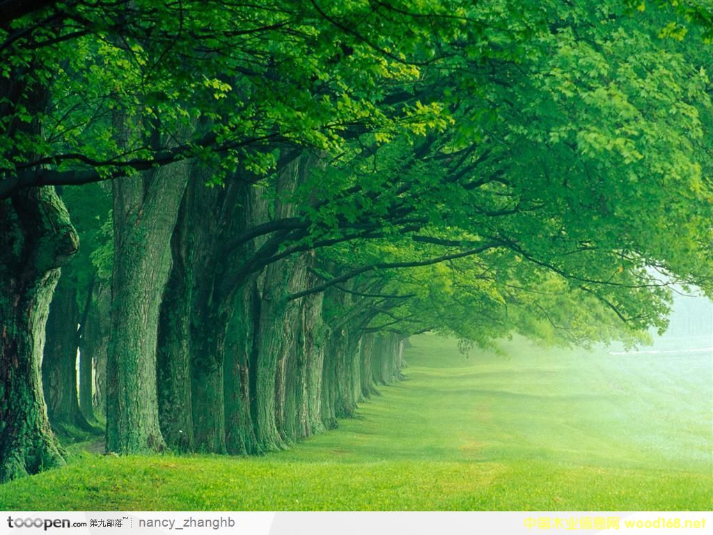 �D����(l��)־ľ�I(y��) �c(di��n)���ɷŴ�