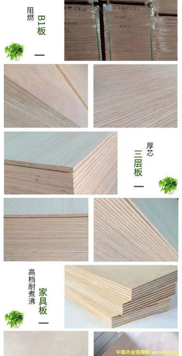 �D������� �c(di��n)���ɷŴ�