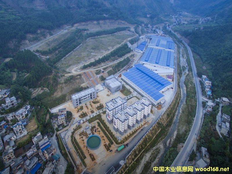 �D����˾ȫò �c���ɷŴ�