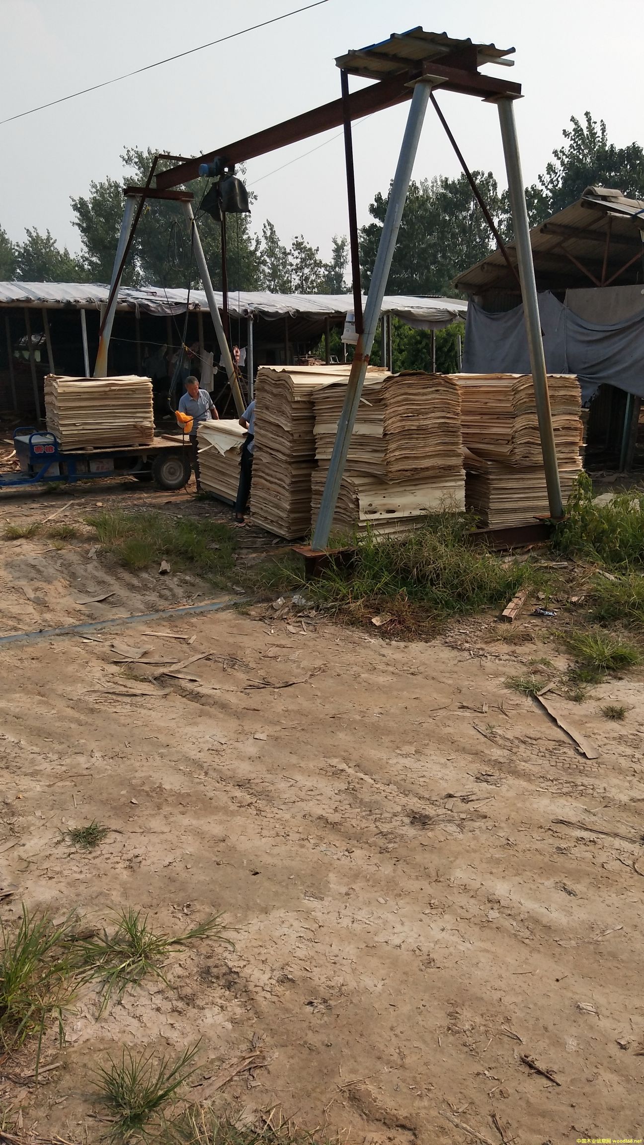 �D����ľ��ƴ��.1.27*84*��1.5--3.2����.���N��̖���� �c(di��n)���ɷŴ�