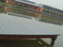 ��������ľ�ذ��Ԕ����B