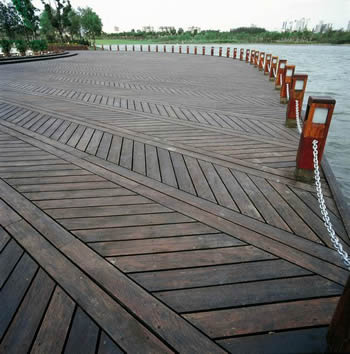 ľ�ذ��Ԕ����B