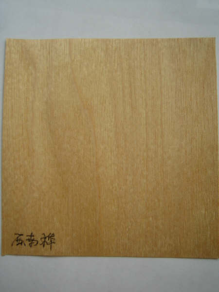 �ߙn�z�ϰ��Ԕ����B