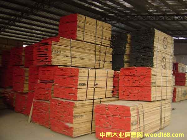 �F(xi��n)؛�������������M�ڼt��ľ,����ľ��