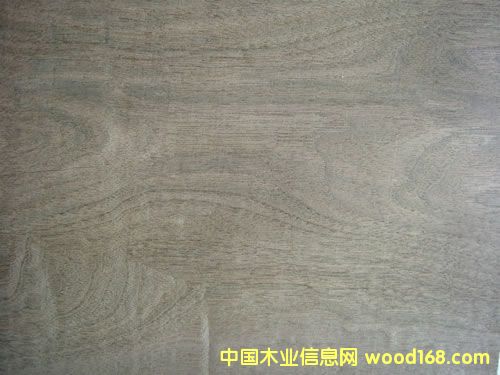 ���Ҙ�Ƥ��Ԕ����B