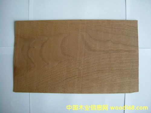 ���Ҙ�(sh��)Ƥ