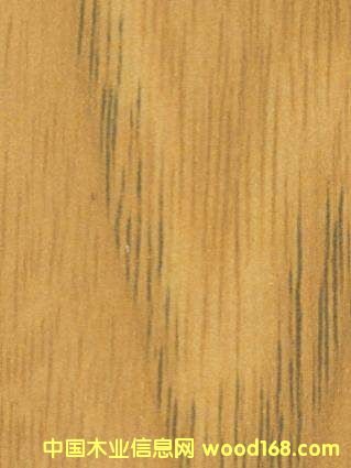 01����ľYDH036��Ԕ����B