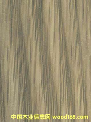 03����ľYDH049��Ԕ����B