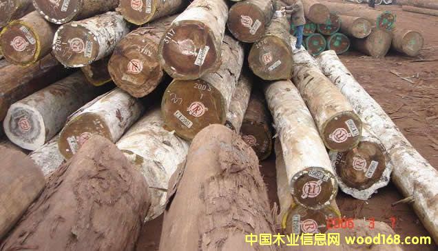 OKAN  R�� �W����Ԕ��(x��)��B