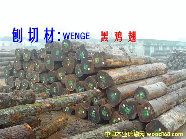 WENGE    �� �u �� 240m3��Ԕ��(x��)��B