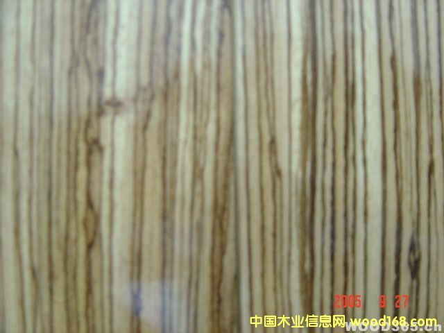 ���R��Ԕ��(x��)��B