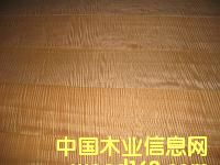 ľƤ��Ԕ��(x��)��B