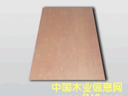 �����z�ϰ��Ԕ��(x��)��B