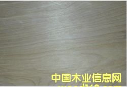 �����z�ϰ��Ԕ��(x��)��B