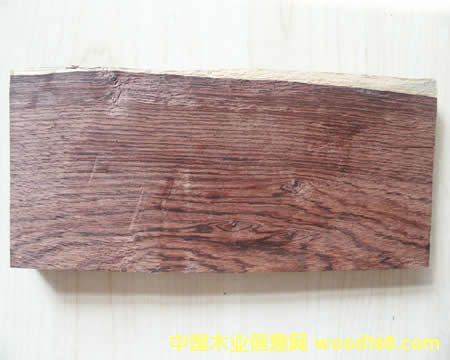 ���޼tľ���t��֦���u��ľ����ϧľ�ĵ�Ԕ����B