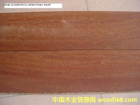 �Ĵ������t��ذ��Ԕ��(x��)��B