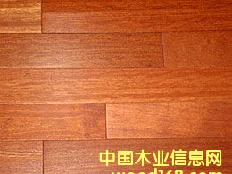 �Ĵ������t��ذ��Ԕ��(x��)��B