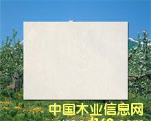 ͩľƴ���Ԕ����B