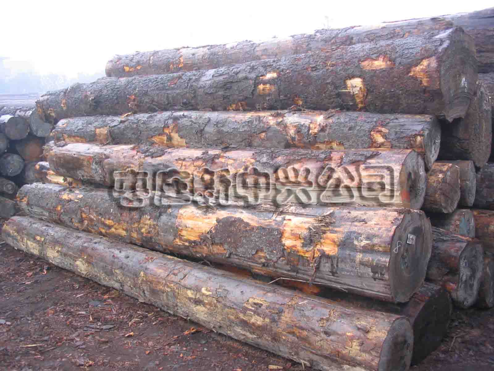 ��ɼ��Ԕ��(x��)��B