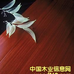 �t̴�㌍ľ�ͺϵذ�